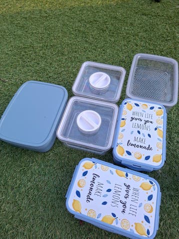 Set van 5 vershoudbakjes met citroenprint