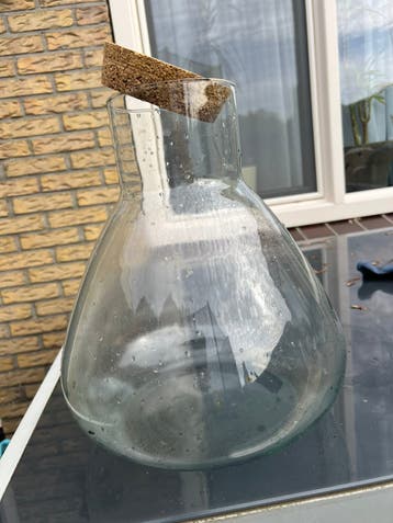Vaas mini ecosysteem