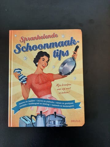 Sprankelende Schoonmaaktips - Boek