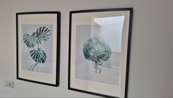 Gratis: 2 Ikea posters van planten in lijst