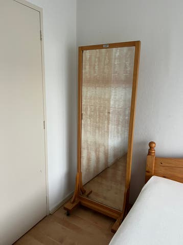 Grote verrijdbare vintage passpiegel GRATIS OP TE HALEN