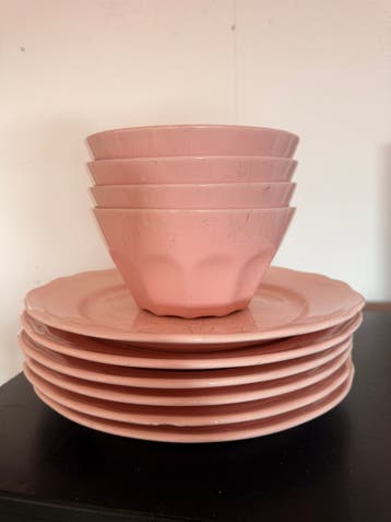 6 roze borden (22cm) en 4 schaaltjes gratis af te halen