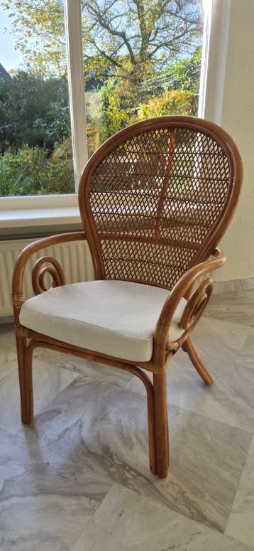 Rotan stoel met kussen - moet weg