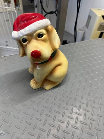Leuk pot voor honden koekjes