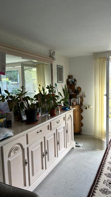 Div planten ophalen