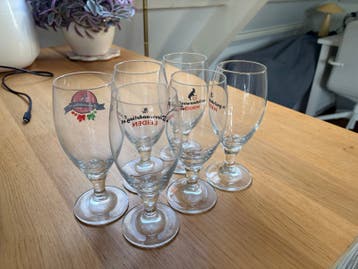 Zes gratis bierglazen 0,25L
